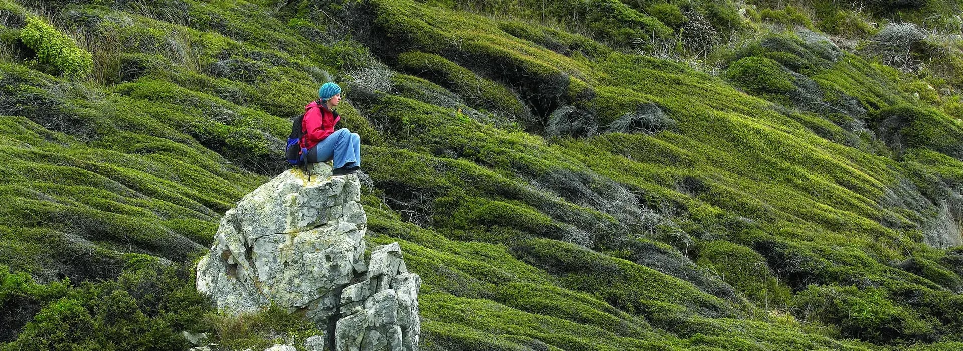 Kāpiti Island · Courtesy of 100% Pure New Zealand